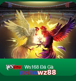 nohuwz88